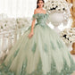 Floral Off The Shoulder Quinceanera Ball Gown By Ladivine 15701