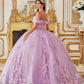 Floral Appliqued Off The Shoulder Quinceanera Ball Gown By Ladivine 15713