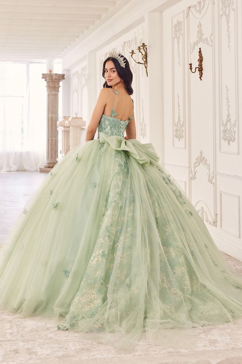 3D Butterfly Applique Sleeveless Quinceanera Gown by Cinderella Divine 15718