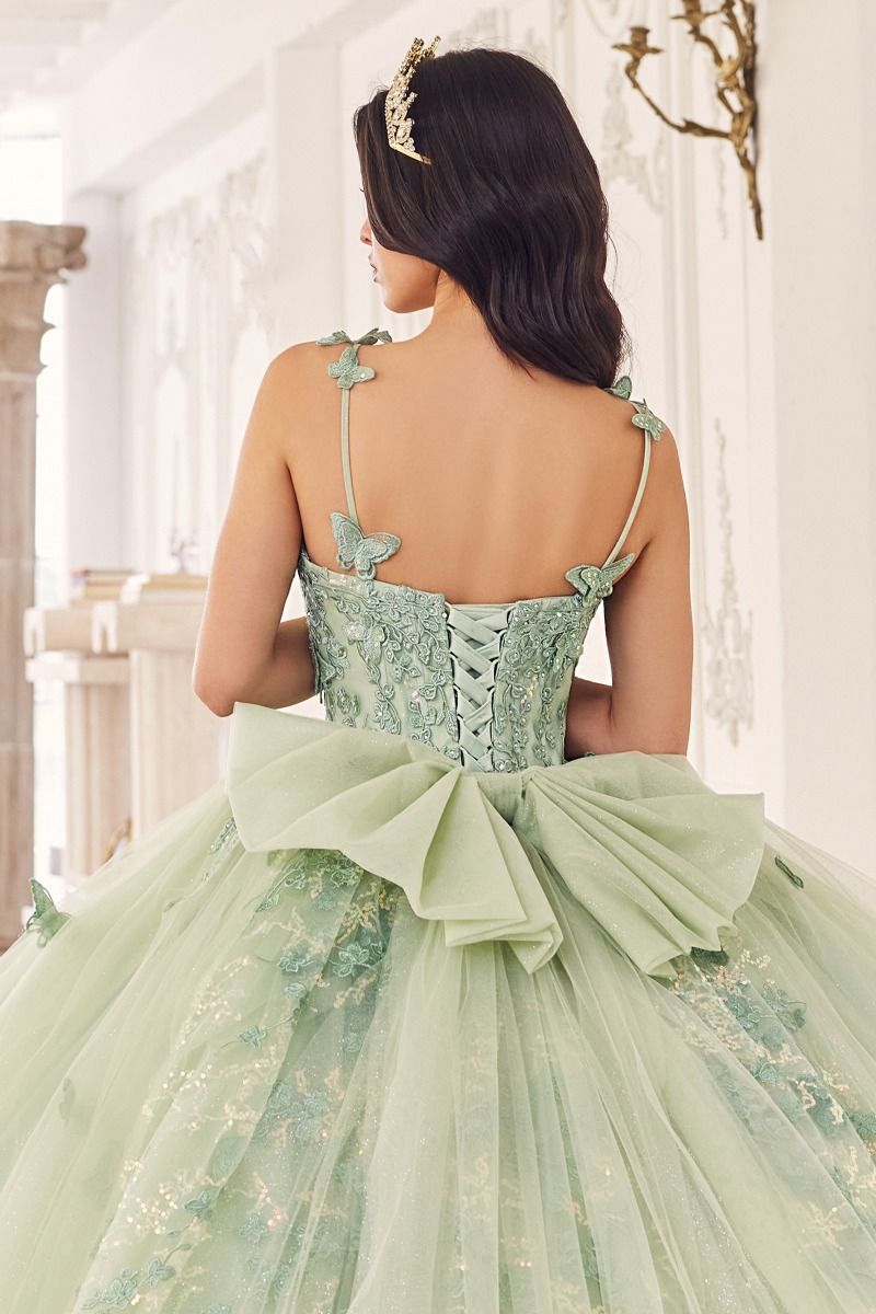 3D Butterfly Applique Sleeveless Quinceanera Gown by Cinderella Divine 15718