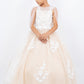 Beautiful Illusion Tulle 3D Flower Girl Dress by Cinderella Couture USA AS5126