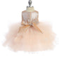 Baby Girl Layered Tulle Glitter Bodice Dress by TIPTOP KIDS - AS5790S