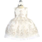 Baby Girl Tulle Metallic Lace Embroidery Dress by TIPTOP KIDS - AS5816S