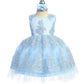 Baby Girl Tulle Metallic Lace Embroidery Dress by TIPTOP KIDS - AS5816S