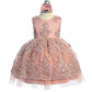 Baby Girl Tulle Metallic Lace Embroidery Dress by TIPTOP KIDS - AS5816S