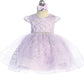 Baby Girl Cap Sleeve Glitter Bodice Dress by TIPTOP KIDS - AS5827S