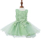 Lace Glitter Tulle Baby Dress by Cinderella Couture USA AS9110