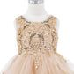 Embellished Sleeveless A-Line Girl Party Dress by Cinderella Couture USA AS9132