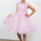 Butterfly Glitter Tulle Sleeveless Girl Party Dress by Cinderella Couture USA AS9150