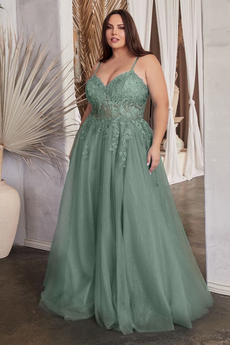 Applique V-Neckline Tulle Gown by Cinderella Divine C148C - Curves