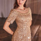 Sequin Illusion Neckline Sheath Gown by Cinderella Divine CB151 - Special Occasion