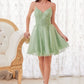 Lace Bodice A-Line Short Dress with Tulle Skirt By Ladivine CD0213