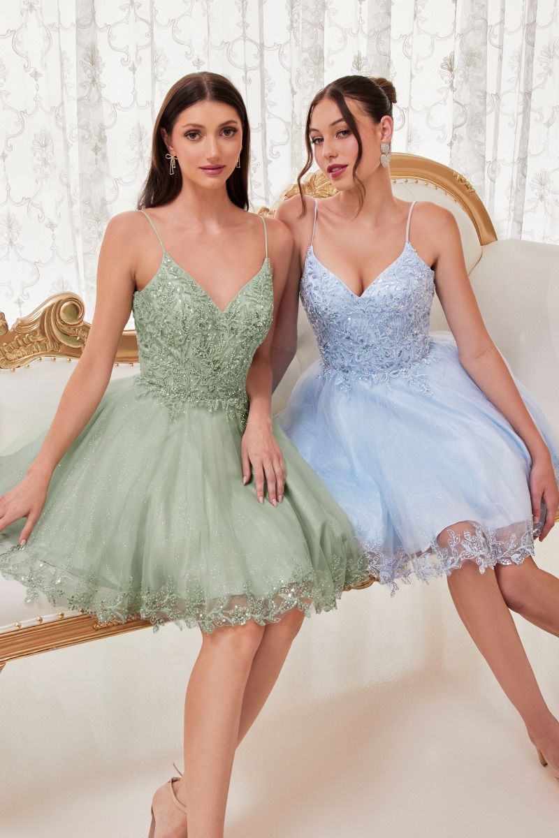 Lace Bodice A-Line Short Dress with Tulle Skirt By Ladivine CD0213