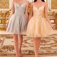 Lace Bodice A-Line Short Dress with Tulle Skirt By Ladivine CD0213