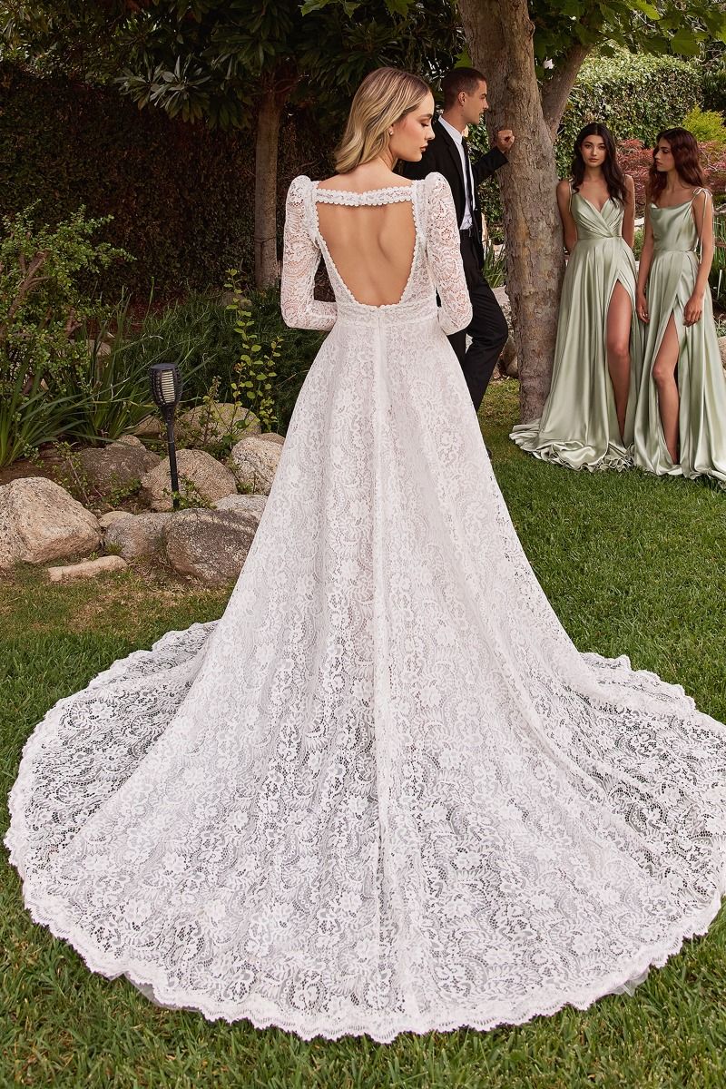 Lace V-Neckline with Removable Sleeves Bridal Gown by Ladivine CD862W