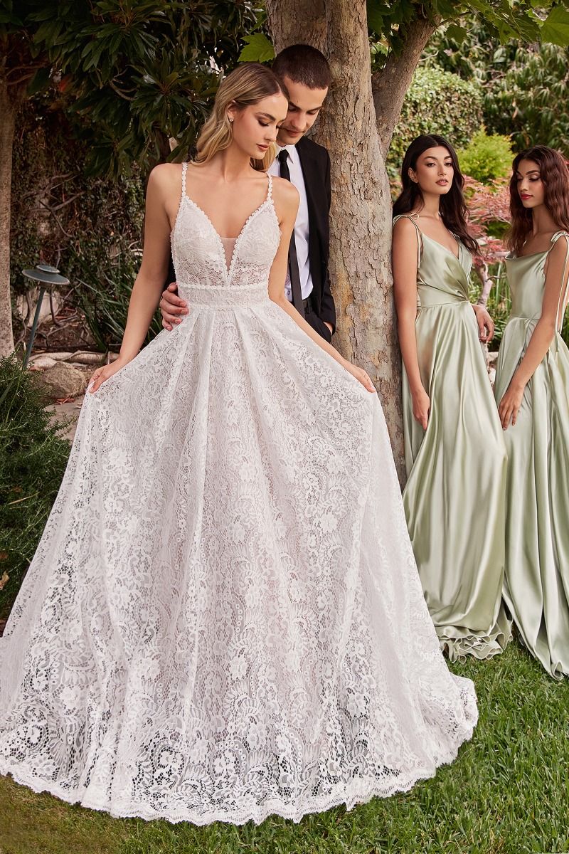 Lace V-Neckline with Removable Sleeves Bridal Gown by Ladivine CD862W