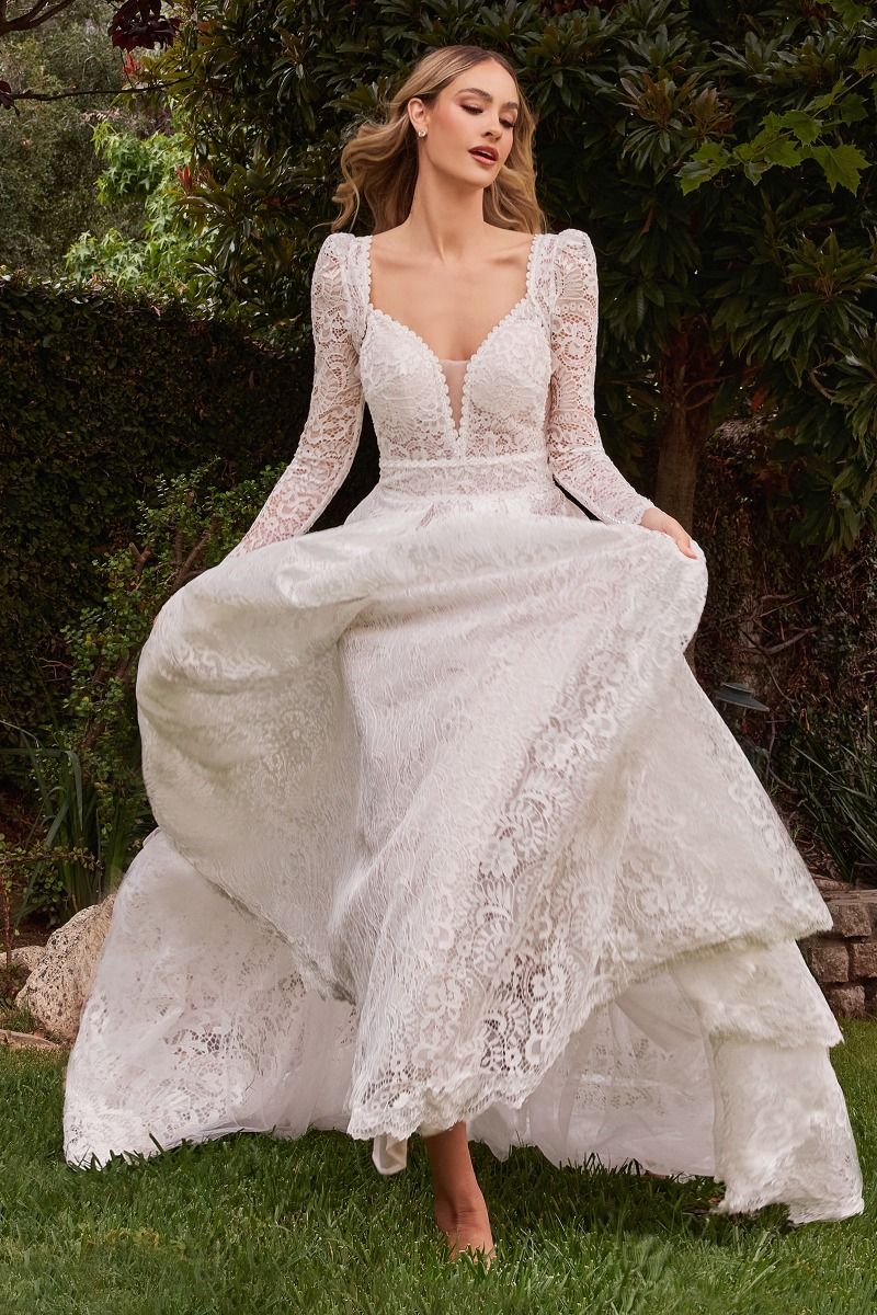 Lace V-Neckline with Removable Sleeves Bridal Gown by Ladivine CD862W