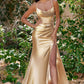 Satin Cowl Neck Gown by Cinderella Divine CH172 - Special Occasion/Curves