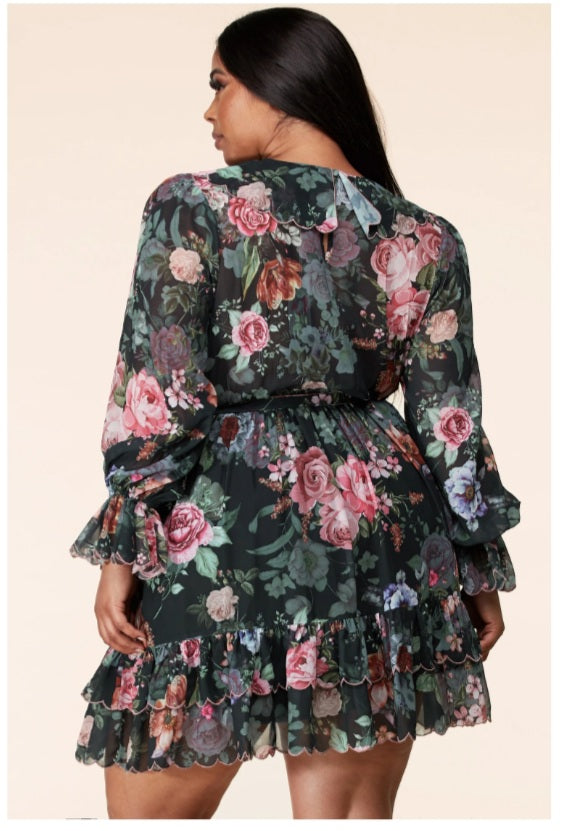 Long Sleeve Floral Print Mini Dress - Sales/Curves