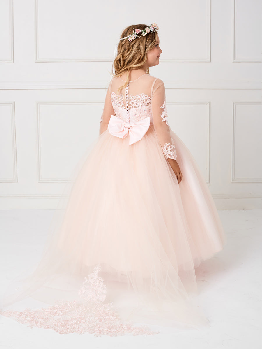 Blush_1 Girl Dress with Stunning Sleeves and Bodice Dress - AS5780