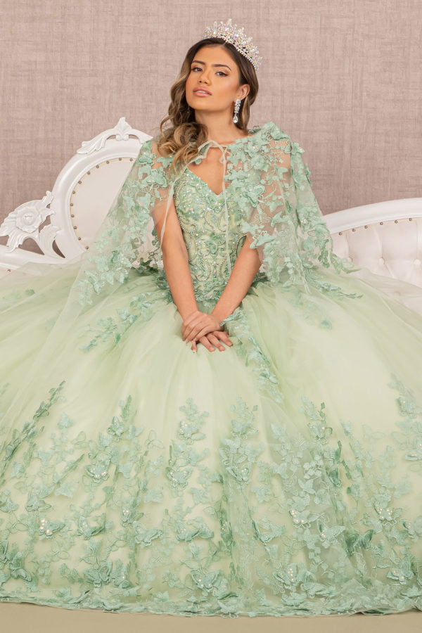 Sage_2 3-D Butterfly Sweetheart Neckline Quinceanera Dress - GL3104