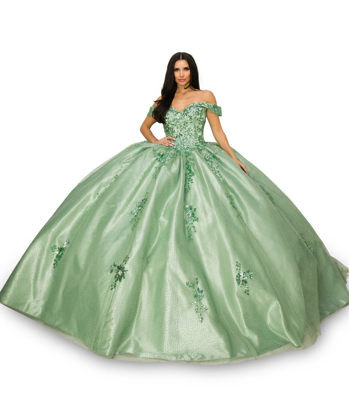 Sage_2 Off Shoulder Floral Applique Quinceanera Dress AS8060J