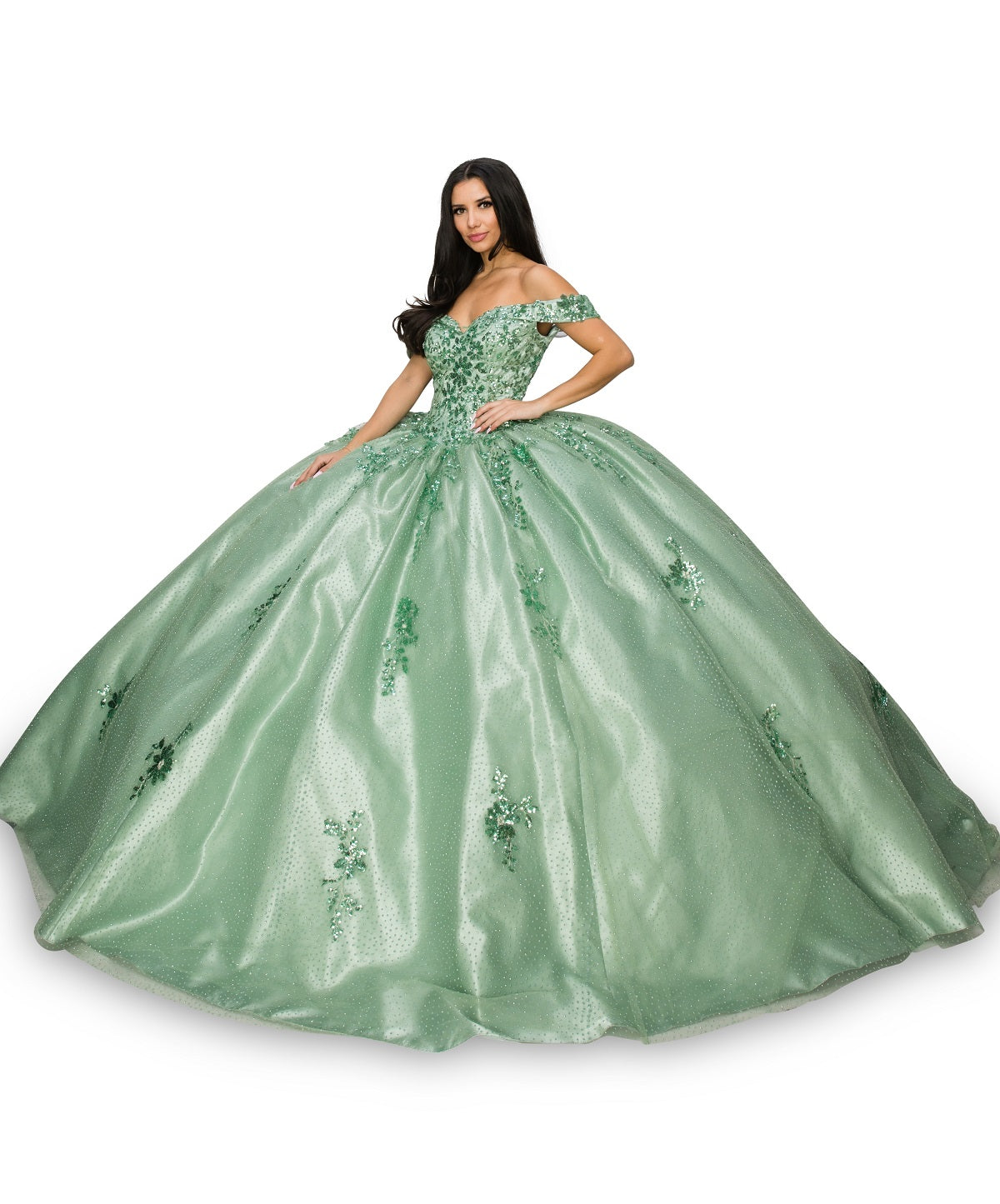 Sage_3 Off Shoulder Floral Applique Quinceanera Dress AS8060J