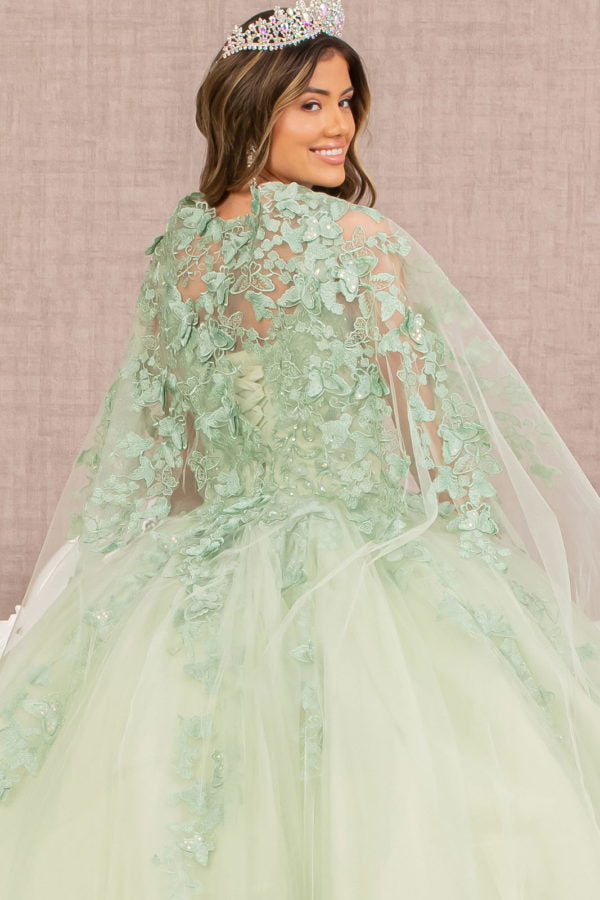 Sage_4 3-D Butterfly Sweetheart Neckline Quinceanera Dress - GL3104