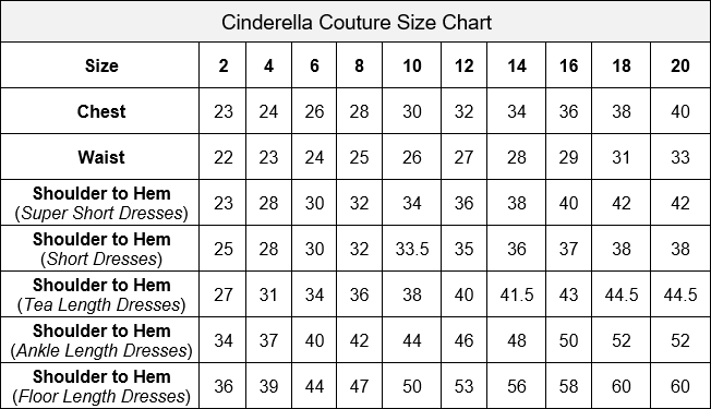 Floral Lace Tulle Girl Party Dress by Cinderella Couture USA AS5045